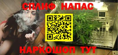 твердый Гатчина