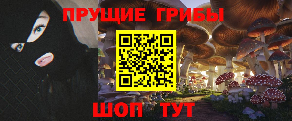 Псилоцибиновые грибы Psilocybe  Вход с VPN  Карталы 